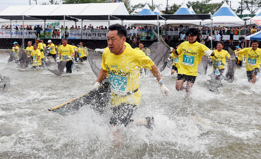 은어 잡으며 더위 훌훌~…봉화은어축제 3년 만에 대면 축제로 연다