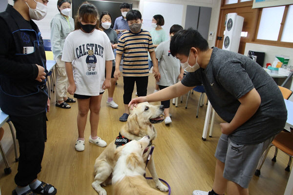 칠곡군 낙산초등, 전교생에 진로·직업체험 프로그램 열어
