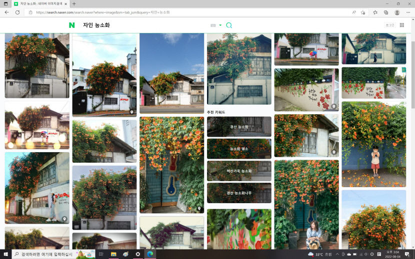 경산 자인 사진명소 능소화 나무 집주인 절단사건 전후 농약까지 뿌린 듯