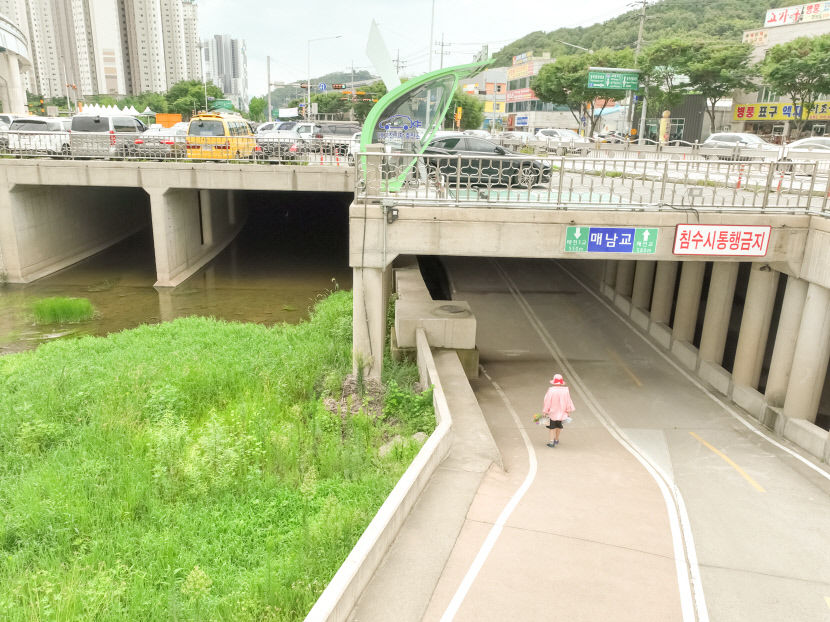 생태하천 팔거천이 다시 태어났어요...활력 넘치는 수변공간 자리매김