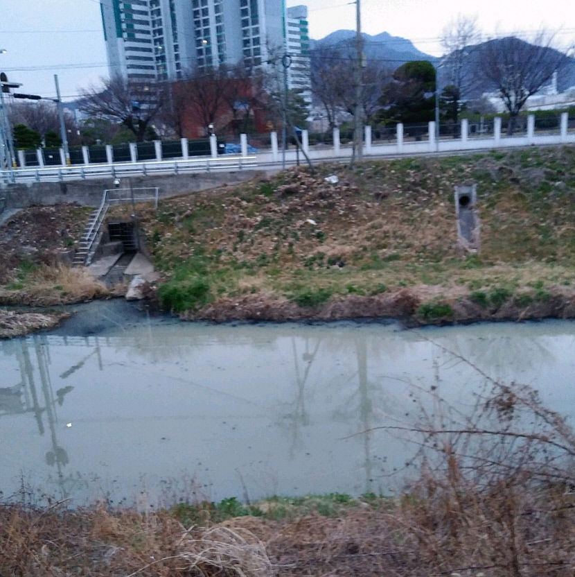 [꾸미기]temp_1659755192738.-1000633086001