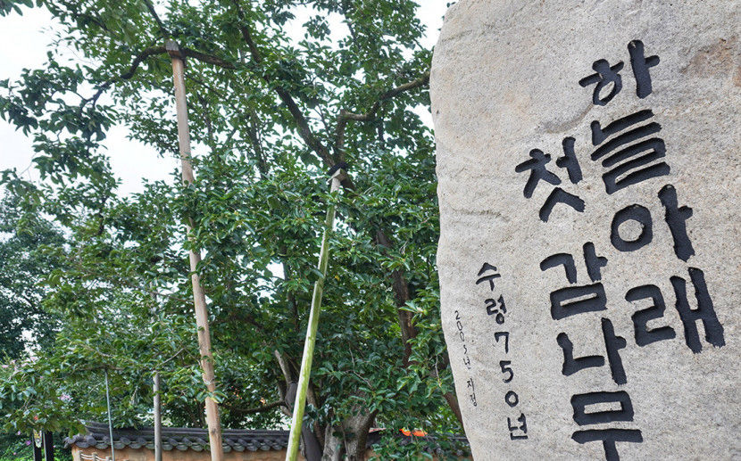 둥시 자연건조시켜 맛 깊고 당도 높아…美·英 등 전세계로 수출