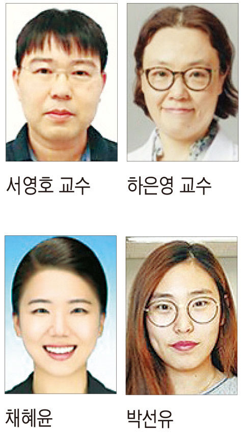 대구 계명대 약학대학 서영호 교수팀·의과대학 하은영 교수 연구팀, 의약화학분야 우수저널에 논문 게재