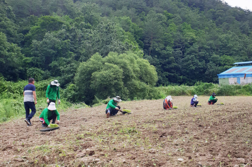 청송군 외국인 계절근로자 근로실태조사···대체로 만족도 높아