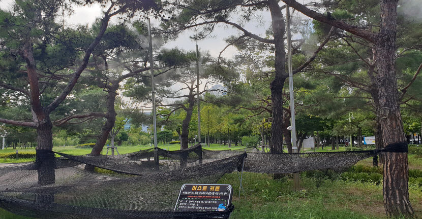 [동네뉴스] 지역 사회 스스로 답을 찾다 대구 달서구 주민들 미세먼지 대응체계 눈길