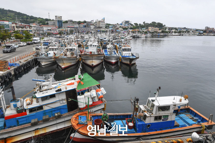 [골목부터 바닷길까지, 포항 힐링로드 .7] 구룡포항…잔잔한 바다, 낮잠 든 항구·달큰함 펄떡이는 횟집거리·100년 시간 거스르는 골목