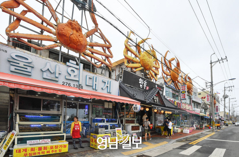 [골목부터 바닷길까지, 포항 힐링로드 .7] 구룡포항…잔잔한 바다, 낮잠 든 항구·달큰함 펄떡이는 횟집거리·100년 시간 거스르는 골목