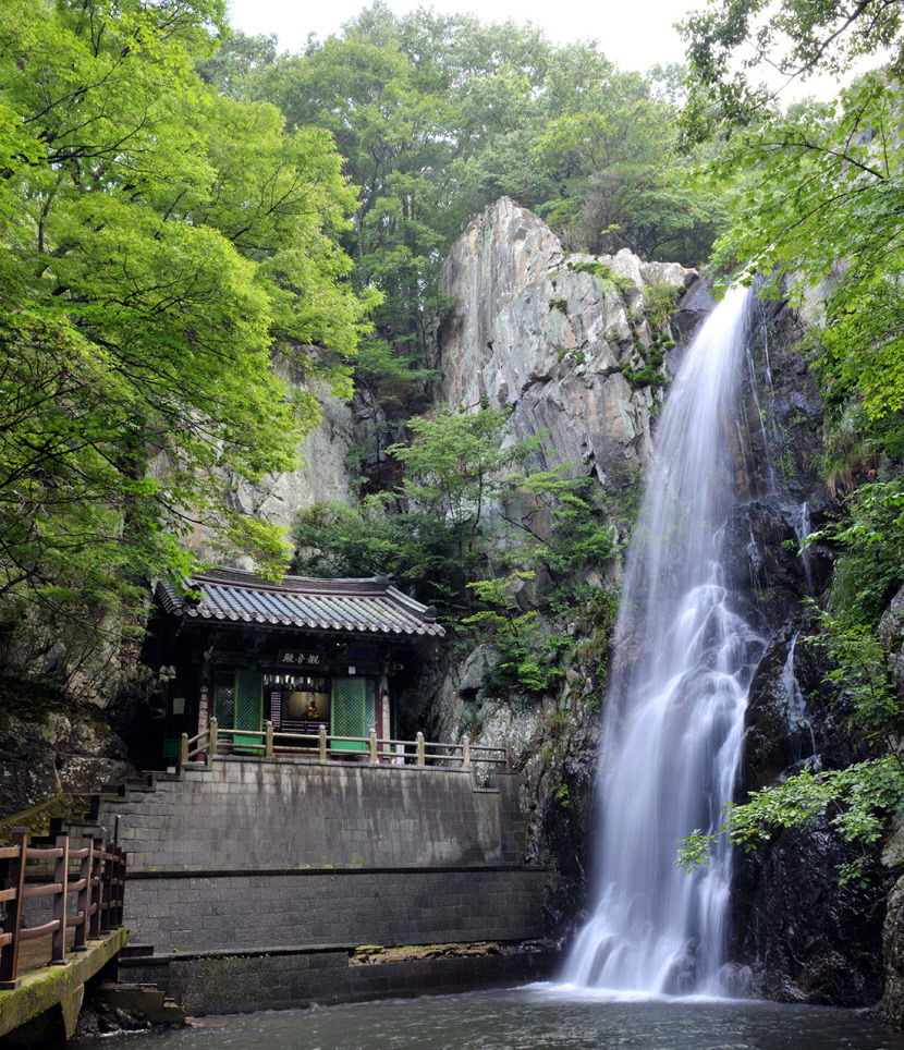 [최원식의 산] 천성산(922ｍ)~경남 양산시…하늘이 열리듯 사방이 탁 트인 억새군락지…천성산 화엄늪에 무리지어 핀 야생화도 손짓
