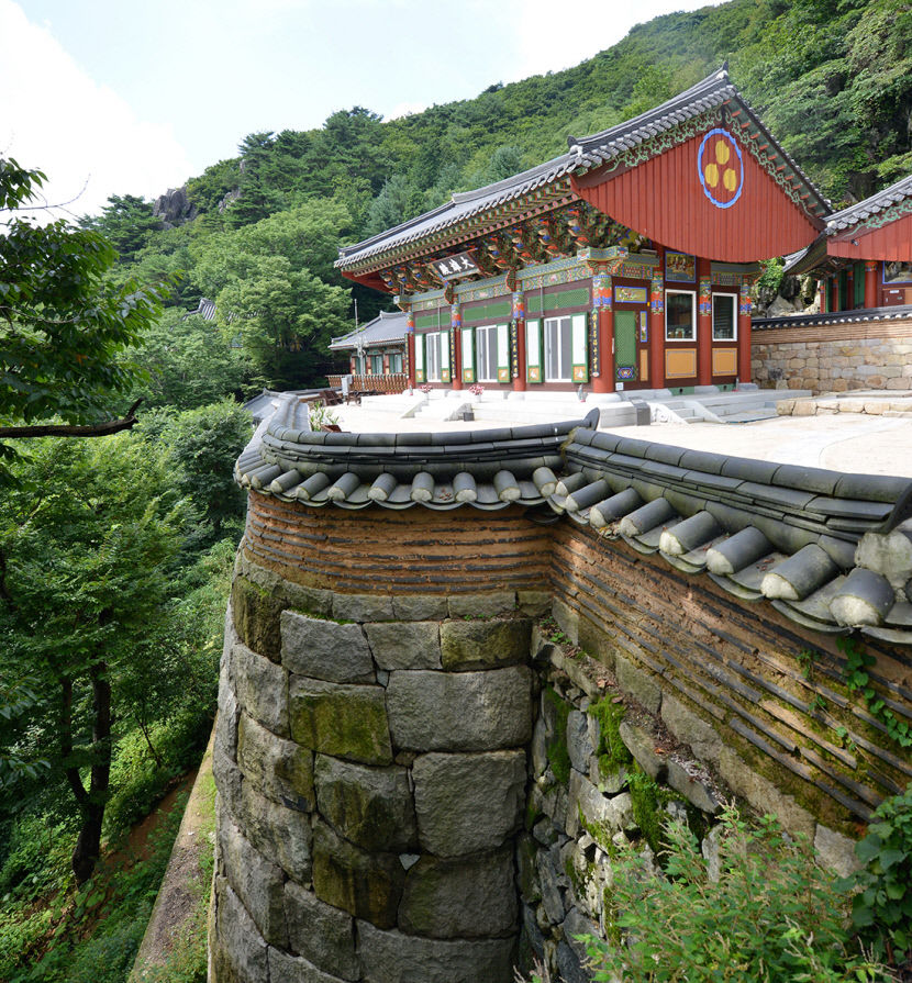 [최원식의 산] 천성산(922ｍ)~경남 양산시…하늘이 열리듯 사방이 탁 트인 억새군락지…천성산 화엄늪에 무리지어 핀 야생화도 손짓