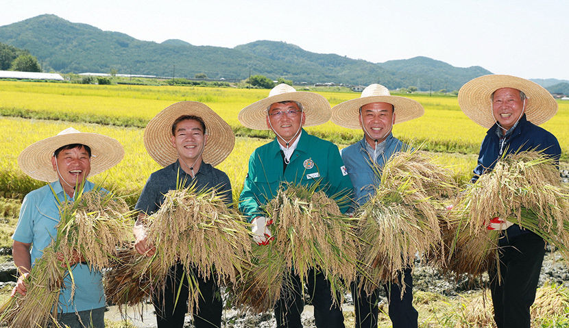 예천군, 개포면서 추석 햅쌀용 해담쌀 올해 첫 수확