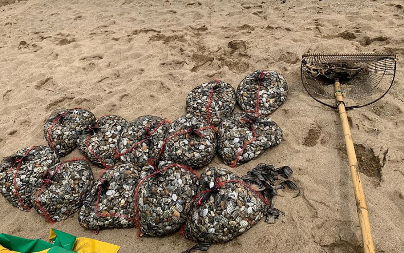 올 여름 포항·경주 해상서 불법 해루질 기승…포항해경, 휴가철 불법 해루질 17건 적발
