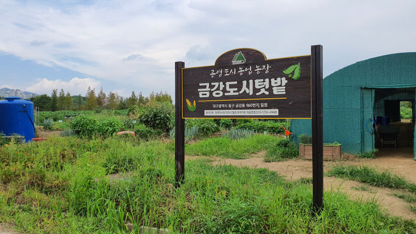 [동네뉴스] 수확의 기쁨을  즐기는 도시텃밭 농부들