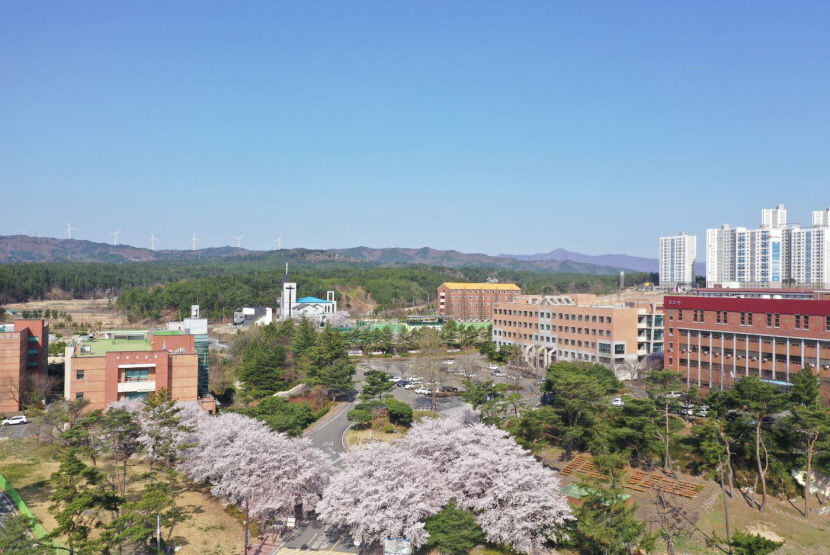 선린대 산학협력단, 울릉군 청년예비창업가 육성사업 최초 운영기관 선정