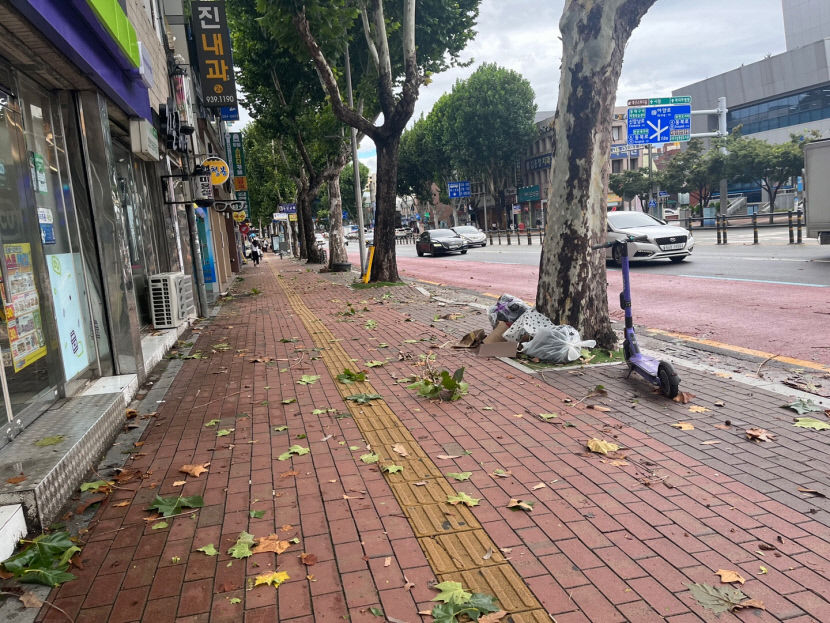 태풍 힌남노 영향권 대구 아침 출근길…우려보다 차분했지만 곳곳 피해 소식도(종합)