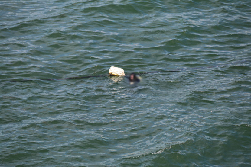 2022090801000297000012141