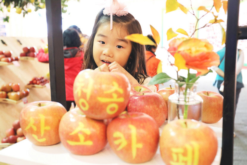 11월 2일~6일 ‘제16회 청송사과축제’  준비 ‘착착’