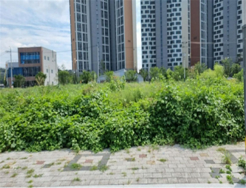 [공매정보] 영천시 완산동 1395 토지