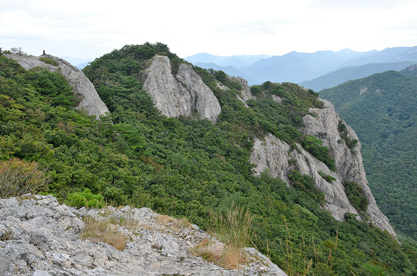 [최원식의 산] 억산(億山 944ｍ) 경남 밀양·경북 청도 경계...거대한 암벽 위의 억산 정상...정면엔 운문산, 뒤편엔 줄지어 선 영남알프스 연봉들