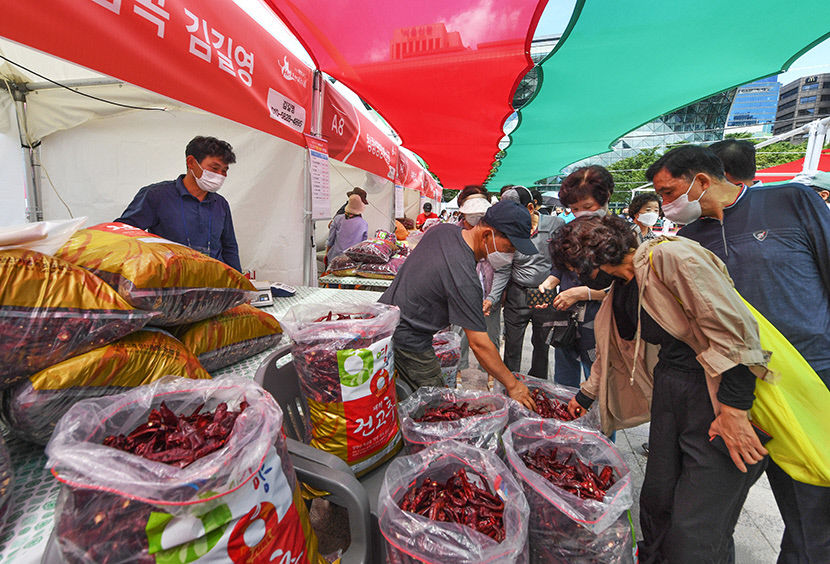 [농업으로 행복한 영양 .3]영양고추 H.O.T 페스티벌...직거래 장터 넘어 농민-수도권 시민 소통 전국구 축제로 성장