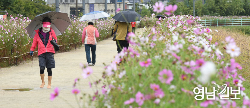 [포토뉴스] 가을 재촉하는 비