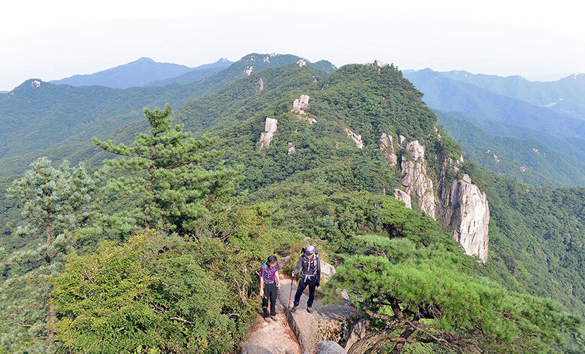 [名山 팔공산, 23번째 국립공원 이름 올릴까] (1) 국립공원 지정, 왜 시급한가...40여년 도립공원·관리체계 이원화 지속가능한 보전 걸림돌