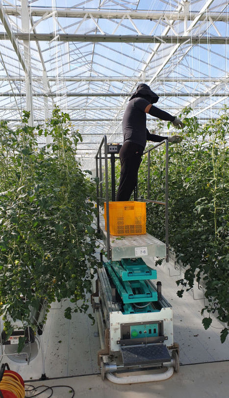 윤 대통령이 시찰한 경북 상주 스마트팜 혁신밸리는...첨단기술 장착한 신세대 농민의 산실