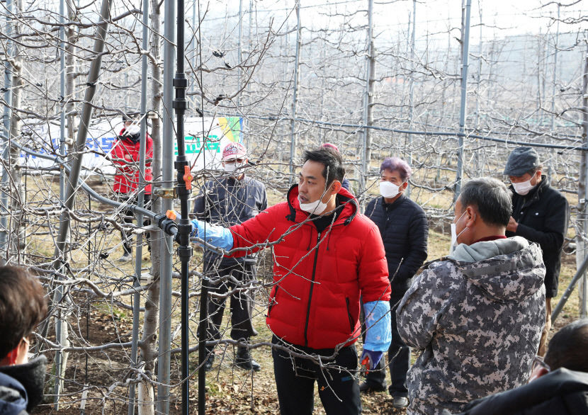 [농업으로 행복한 영양 .4] 고추와 대표작물 양대산맥 사과…해발 1219m 일월산이 키운 사과…베어 무는 순간 아삭한 꿀맛 가득