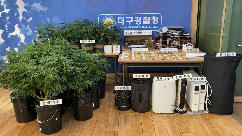 [국감 브리핑] 10·20대 마약사범 5년 새 2배 증가…대책 마련 시급