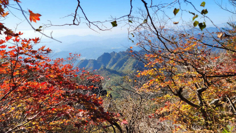 KakaoTalk_20221012_140435819_02