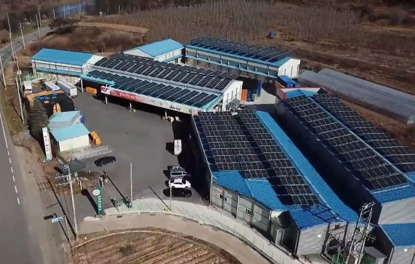 영양사과 10만 상자 한번에 보관…지역 최대규모 선별·저장시설 자랑