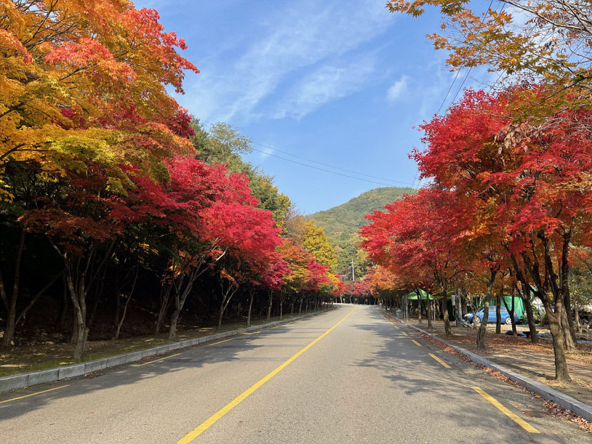 가을길-팔공산