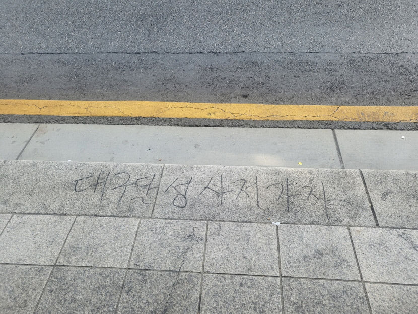 박근혜 전 대통령 사저 연상 달성 사저 가자 의문의 낙서 서울서도 발견