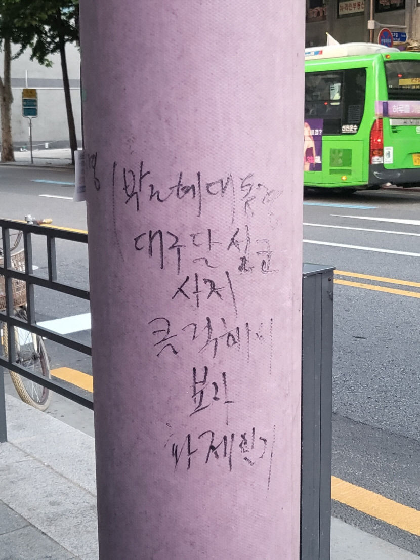 박근혜 전 대통령 사저 연상 달성 사저 가자 의문의 낙서 서울서도 발견