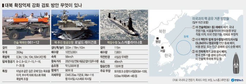 정부 전술핵 재배치보다 美전략자산 적시 전개가 바람직