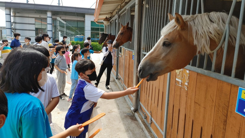 [작은 학교 큰 꿈] 예천 지보초등, 작은 학교 가꾸기 운영 등 희망의 바람 일으키기 노력