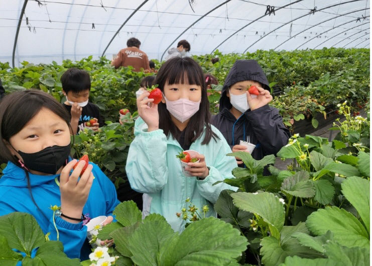 [작은 학교 큰 꿈] 예천 지보초등, 작은 학교 가꾸기 운영 등 희망의 바람 일으키기 노력