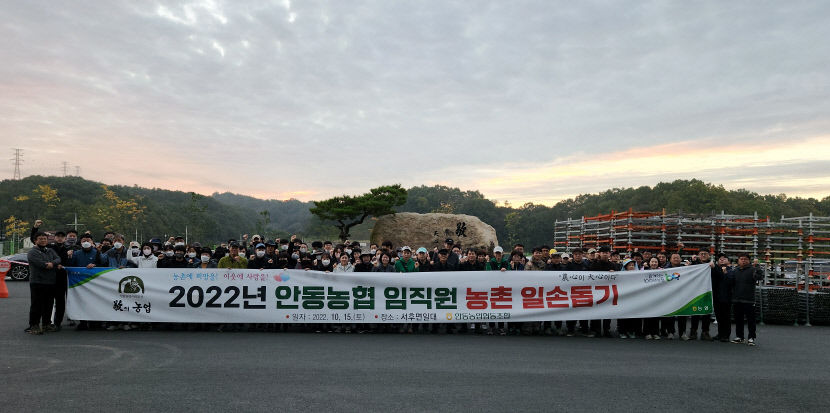 안동농협 임직원, 생강 수확 농가 일손돕기 참여