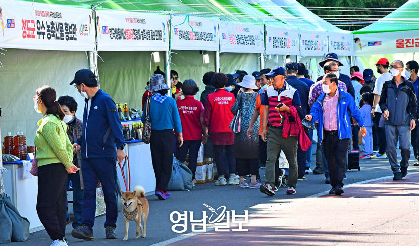제15회 아줌마 대축제 경북 신선먹거리 부스마다 넉넉한 인심
