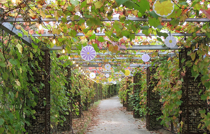 [김봉규의 수류화개(水流花開)] 봉화 백두대간 수목원(2) 청정 산자락에 수놓은 자생 초목…30여개 주제 정원도 색다른 재미