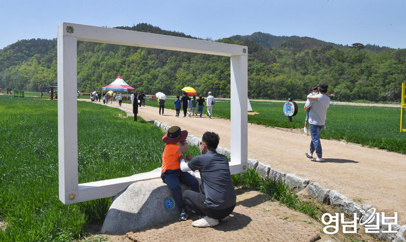 [대한민국 선진농업 1번지, 산소 카페 청송 .13] 새로운 도시 브랜드 산소카페 청송…봄엔 청보리, 가을 백일홍 세상…청송정원선 숨쉬는 것만으로도 행복