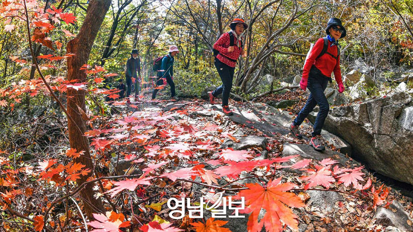 [포토뉴스] 성주 가야산 가을산행·숲속 음악회