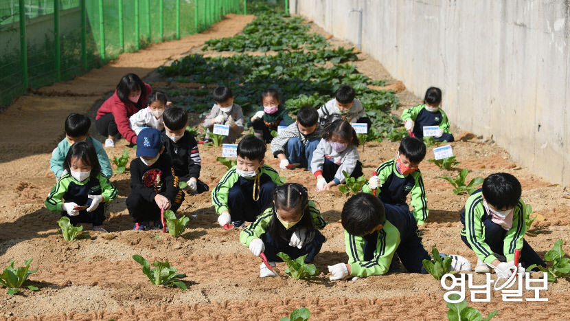 [포토뉴스] 대구 남구 도시농업체험장 개소, 텃밭 가꾸는 어린이들