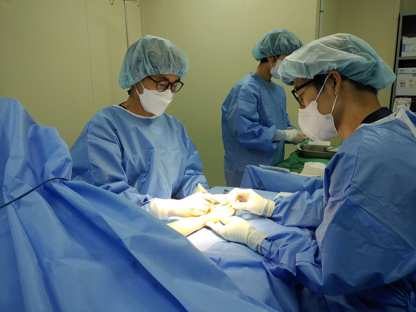 [의료특집] MS재건병원, 손가락재접합 고도의 기술 전국서 인정