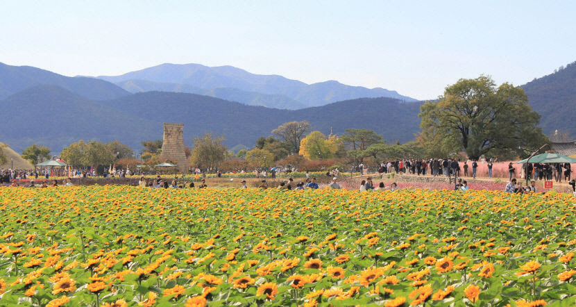 11월 일교차 크고 맑은 날씨…겨울 접어든다