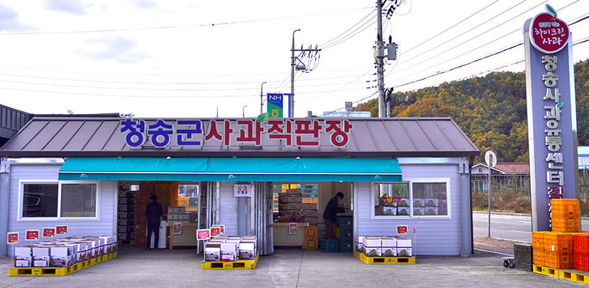 [대한민국 선진농업 1번지, 산소 카페 청송 .14] 청송 농산물 유통의 중심 청송사과유통센터