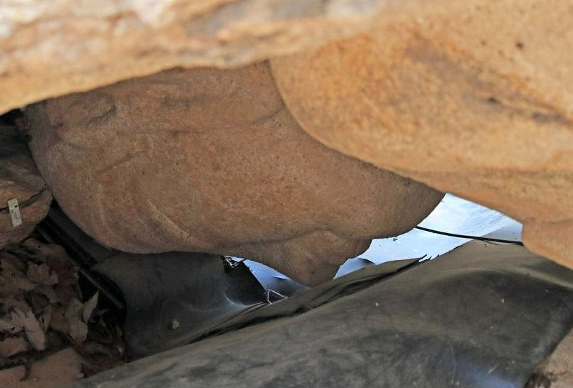 경주 남산 열암곡 마애불 세우기 본격화…조계종 고불식
