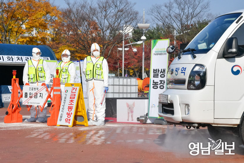 [포토뉴스] 아프리카돼지열병 방역훈련 열린 대구스타디움
