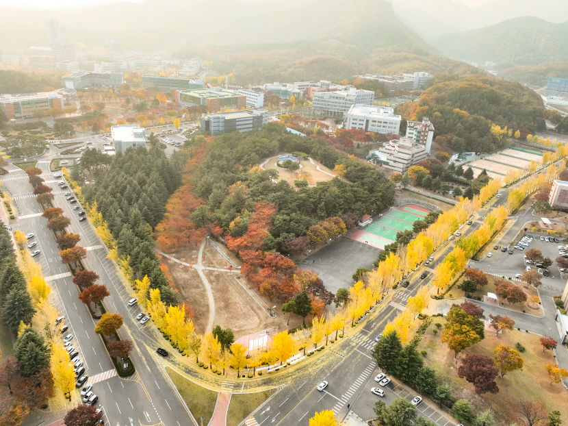 [포토뉴스] 노란 은행잎이 눈처럼 내리는 대가대 효성캠퍼스