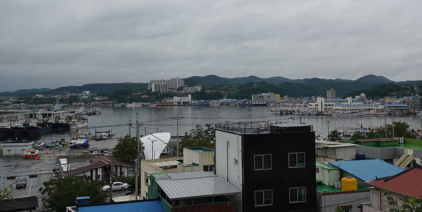 전국 49명의 詩人, 사랑하는 구룡포를 낭독하다