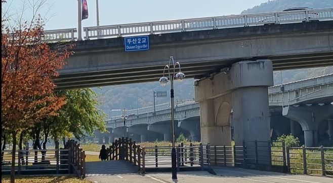 [포토뉴스] 대구 신천 두산2교 산책길 부근에 대나무꽃 눈길